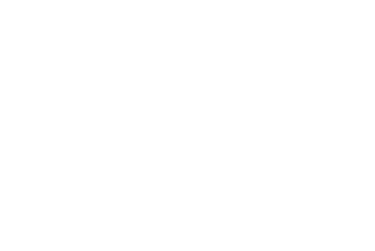 VentureX